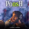 About Poosh Mashup Song